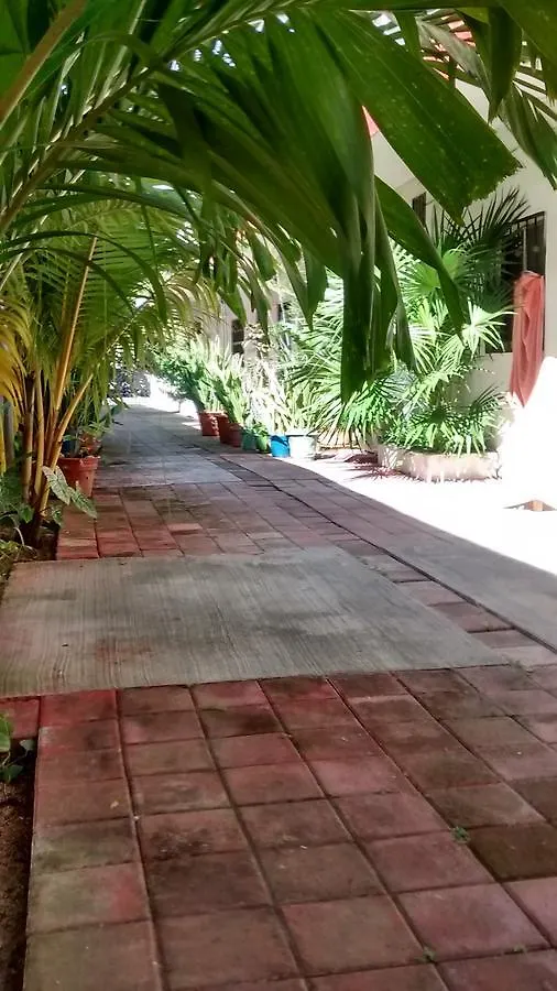 Posada Olmeca Playa del Carmen Homestay