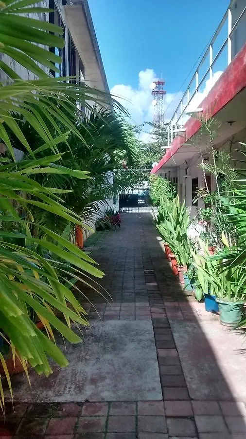 Homestay Posada Olmeca Playa del Carmen