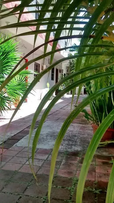 Homestay Posada Olmeca Playa del Carmen