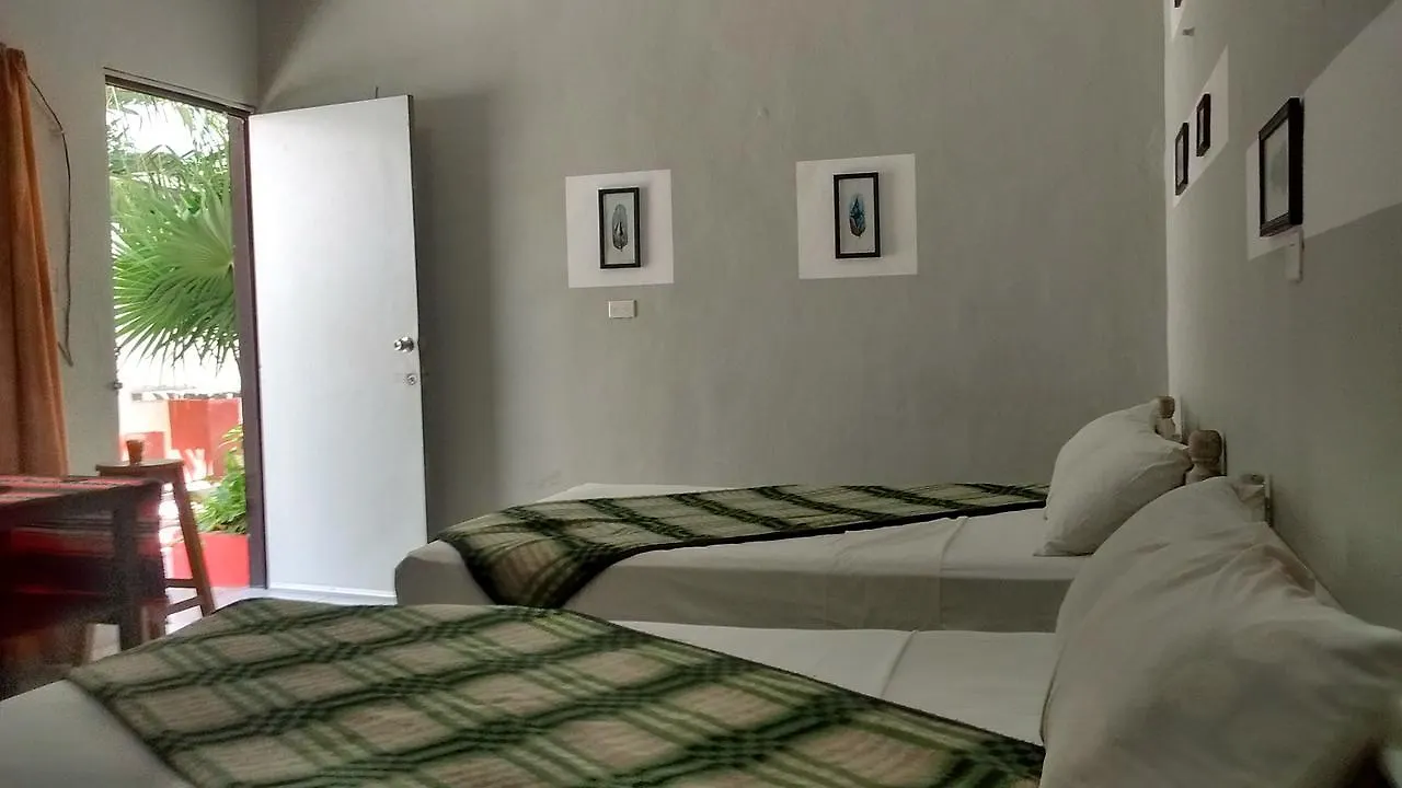 Posada Olmeca Playa del Carmen Homestay