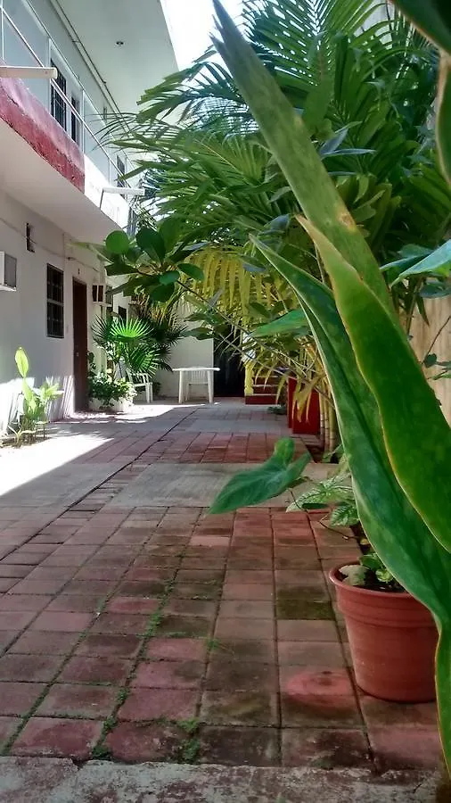 Posada Olmeca Playa del Carmen Mexico
