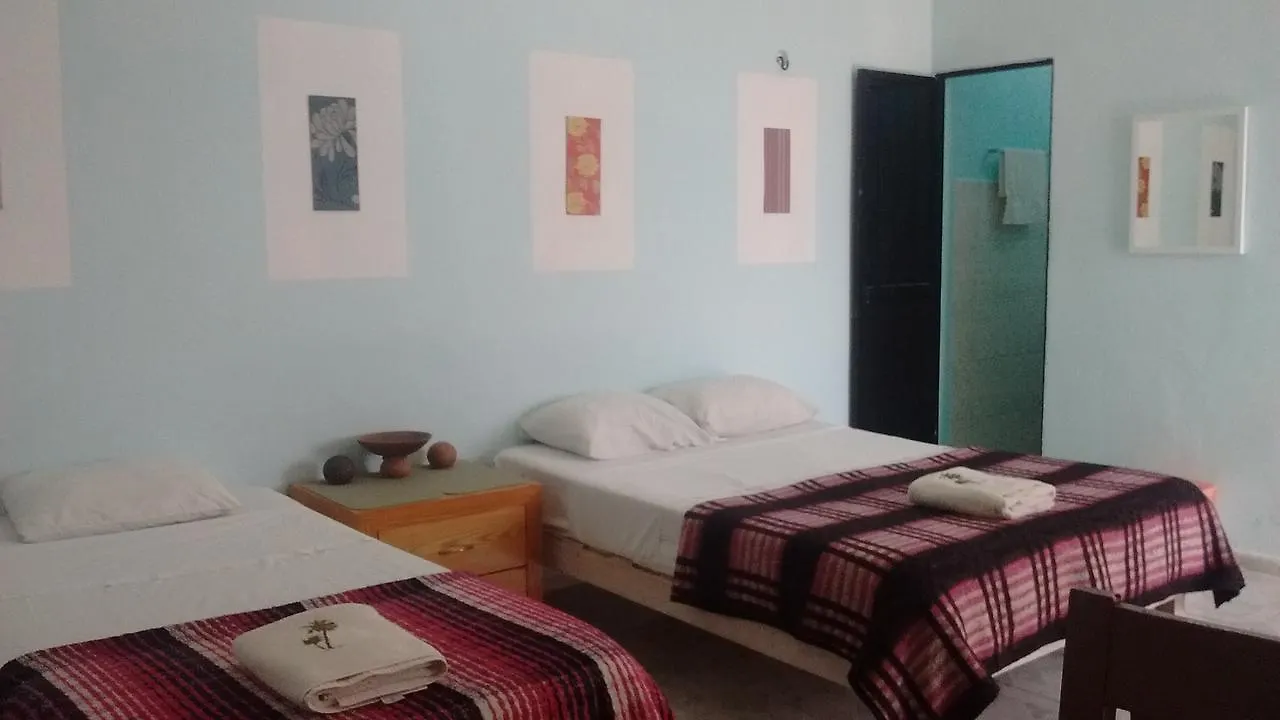 Posada Olmeca Playa del Carmen Homestay
